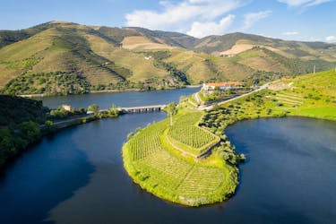 Visite privée de la vallée du Douro au départ de Porto